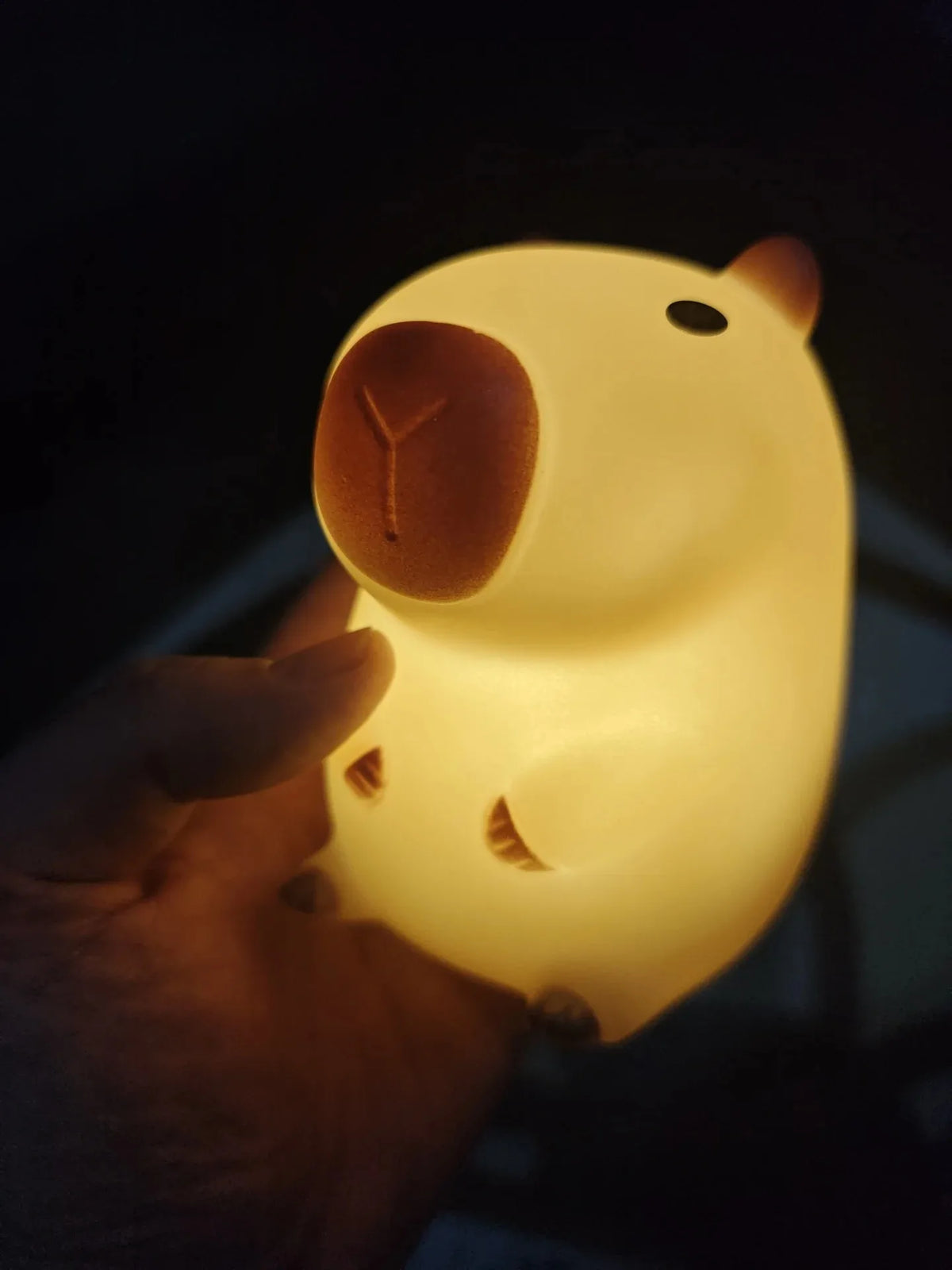 Veilleuse Capybara Silicone - CapiZen