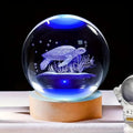 Veilleuse Tortue Boule de Cristal Océan - TurtleGlow